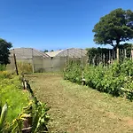 Quinta Dos Sabores Farm Ribeira Grande