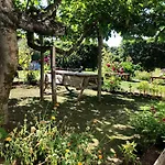 Quinta Dos Sabores Farm * Ribeira Grande