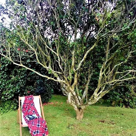 Quinta Dos Sabores Farm * ריביירה גראנדה