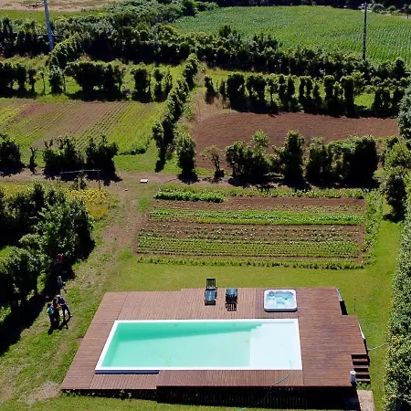 Farm stay Quinta Dos Sabores Farm Ribeira Grande