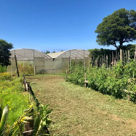 Quinta Dos Sabores Farm Ribeira Grande