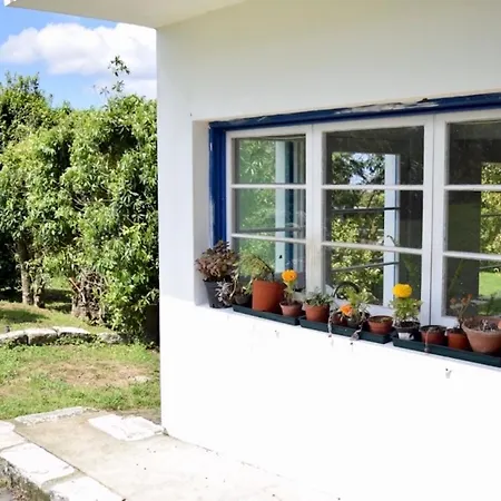 Farm stay Quinta Dos Sabores Farm Ribeira Grande