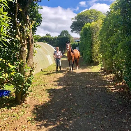 Farm stay Quinta Dos Sabores Farm *