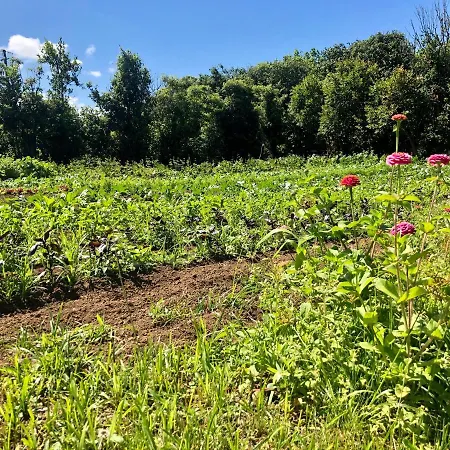 Quinta Dos Sabores Farm