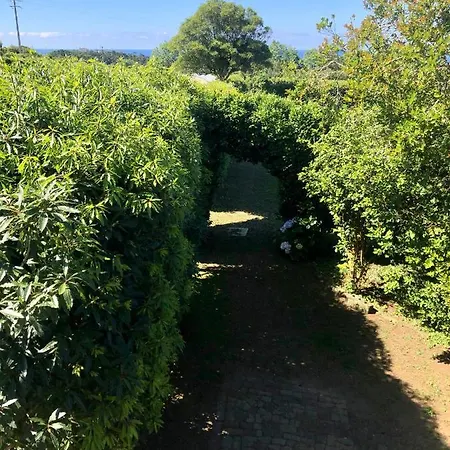 Quinta Dos Sabores Farm * Ribeira Grande