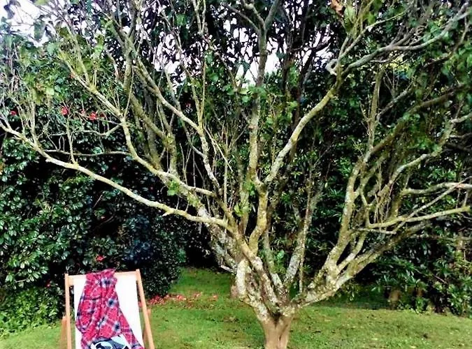 Quinta Dos Sabores Farm * Ribeira Grande