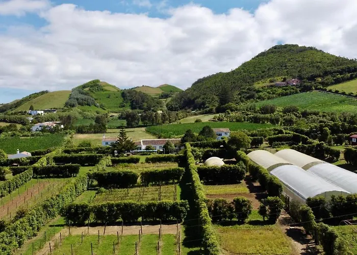 Séjour à la ferme Quinta Dos Sabores Farm