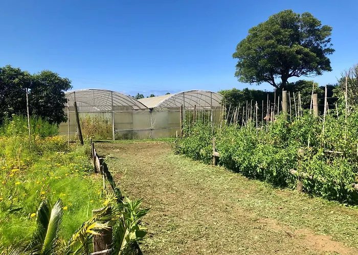 Quinta Dos Sabores Farm Ribeira Grande