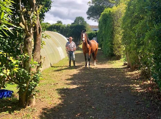 Farm stay Quinta Dos Sabores Farm *