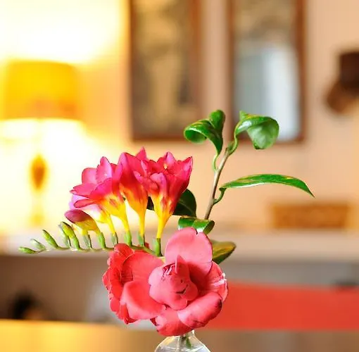 Farm stay Quinta Dos Sabores Farm