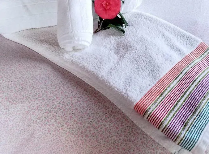 Farm stay Quinta Dos Sabores Farm